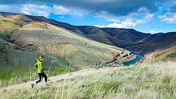 05140 Tracking Training On The Trails 700×394
