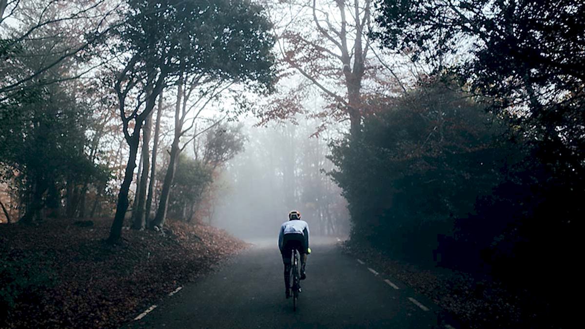 A Cyclist Riding On A Road Through A Forest With Fog