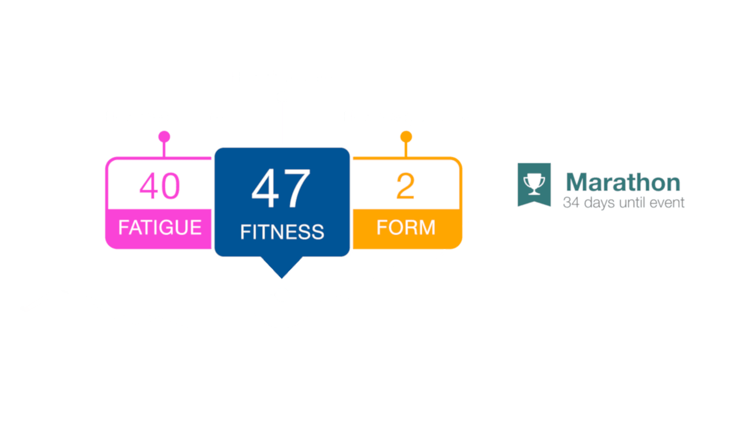 Create Your Free Trainingpeaks Account